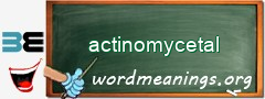 WordMeaning blackboard for actinomycetal